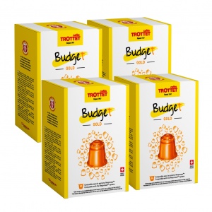 Budget Gold 4x50 capsules