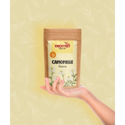 Infusion vrac camomille sauvage - TIP TOP COFFEE