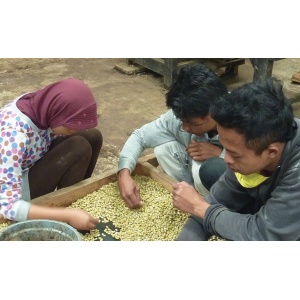 250 gr Café en grain Iles De Flores Indonesie Cafés Trottet