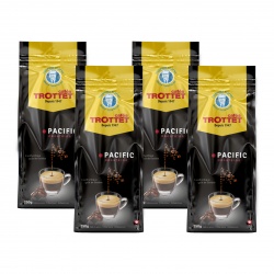 Pacific Déca 4x250G