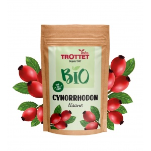 Tisane Cynorrhodon Bio en...