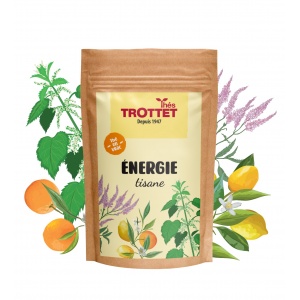 Tisane Energie en vrac 75G